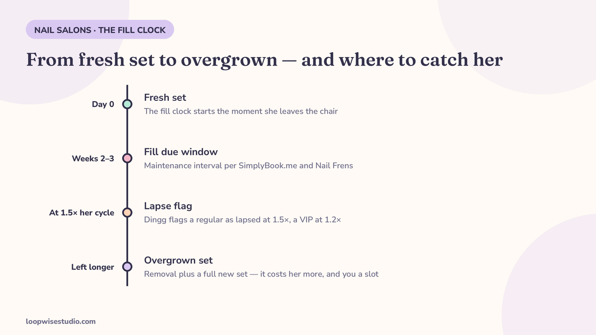 Infographic timeline of the nail fill cycle: fresh set on day zero, the fill due window at two to three weeks per SimplyBook.me and Nail Frens guidance, a lapse flag at one and a half times the cycle, and the overgrown set needing removal plus a full set