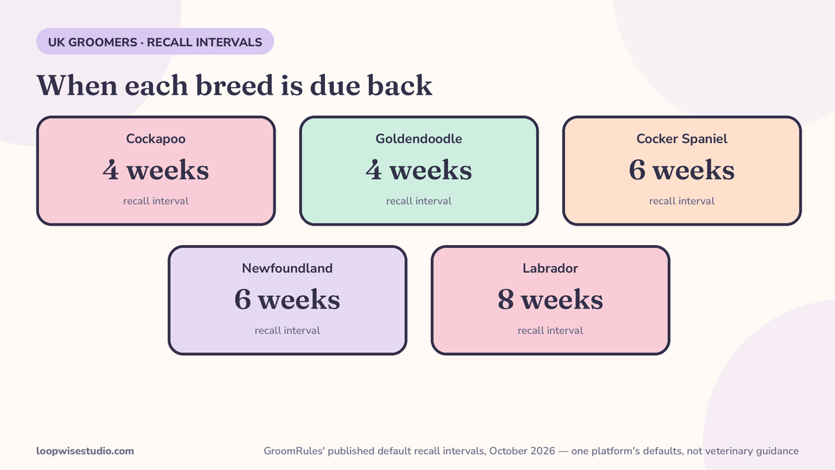 Breed interval cards showing GroomRules’ published default recall intervals from October 2026: Cockapoo 4 weeks, Goldendoodle 4 weeks, Cocker Spaniel 6 weeks, Newfoundland 6 weeks, Labrador 8 weeks